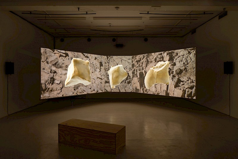 Installation View, Den Frie Centre for Contemporary Art, Copenhagen (Photo: Stjernholm)