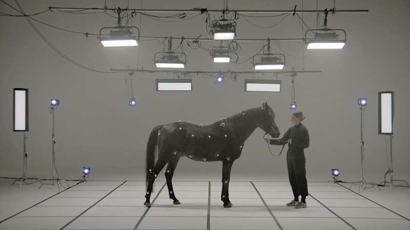 The Watchers of Malheur (TWEET TWEET), Still from video