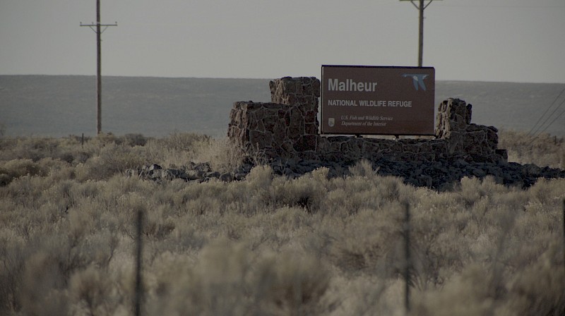 The Watchers of Malheur (TWEET TWEET), Still from video