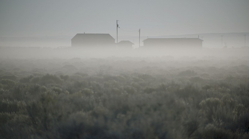 The Watchers of Malheur (TWEET TWEET), Still from video