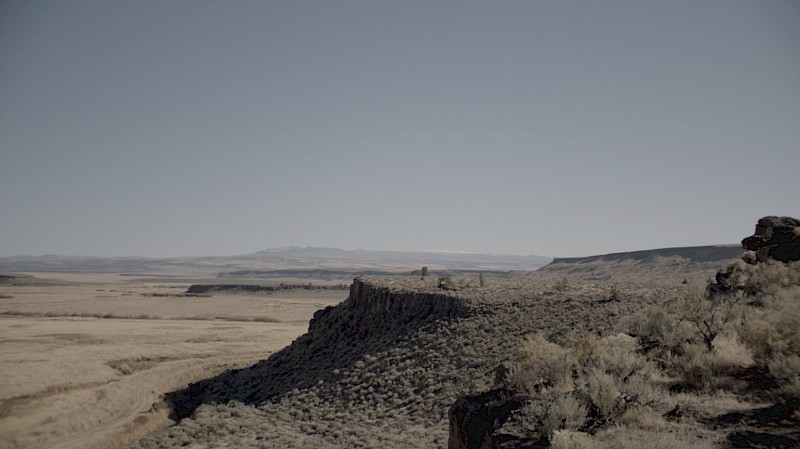 The Watchers of Malheur (TWEET TWEET), Still from video