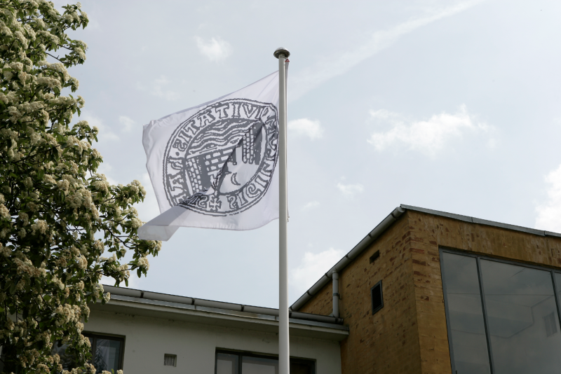 Friedlos (aka The Bandit Wolf-Man), installation view from Beaver Projects, Cph, DK