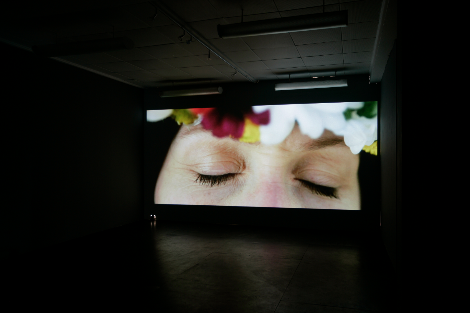 Friedlos (aka The Bandit Wolf-Man), installation view from Beaver Projects, Cph, DK