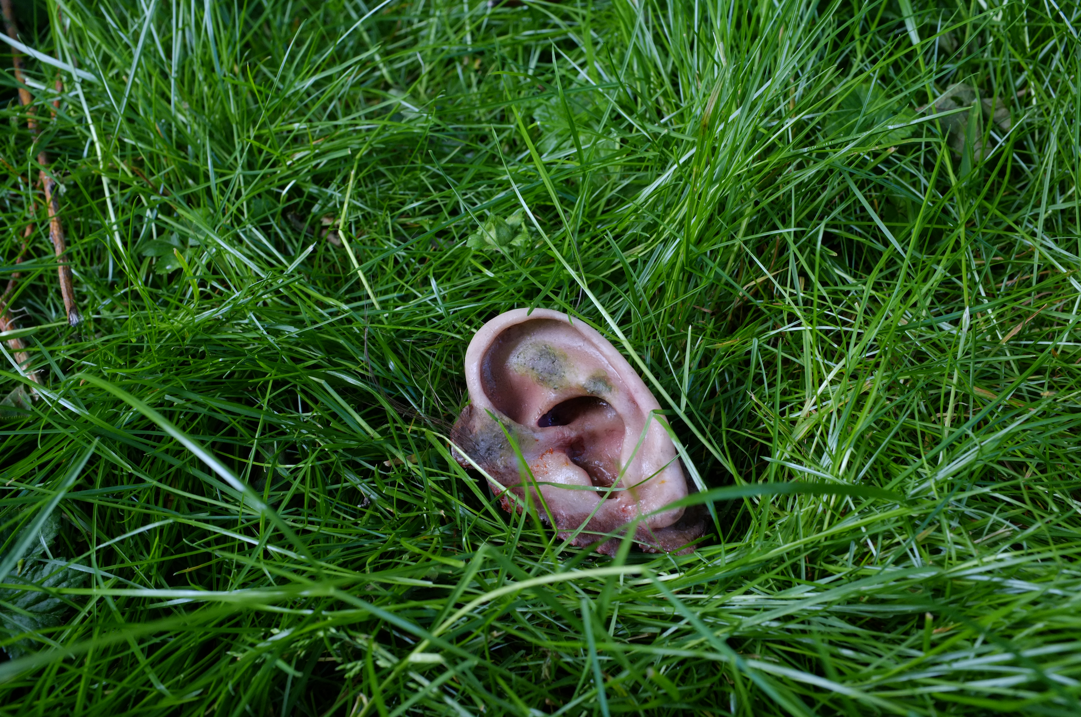 Installation View, "Biennial Summer Sculpture Soeby 2014" – Aeroe, Denmark